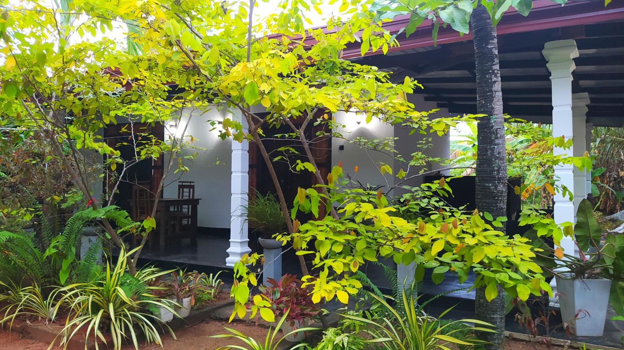 Yashi'S Place Sigiriya Exteriör bild